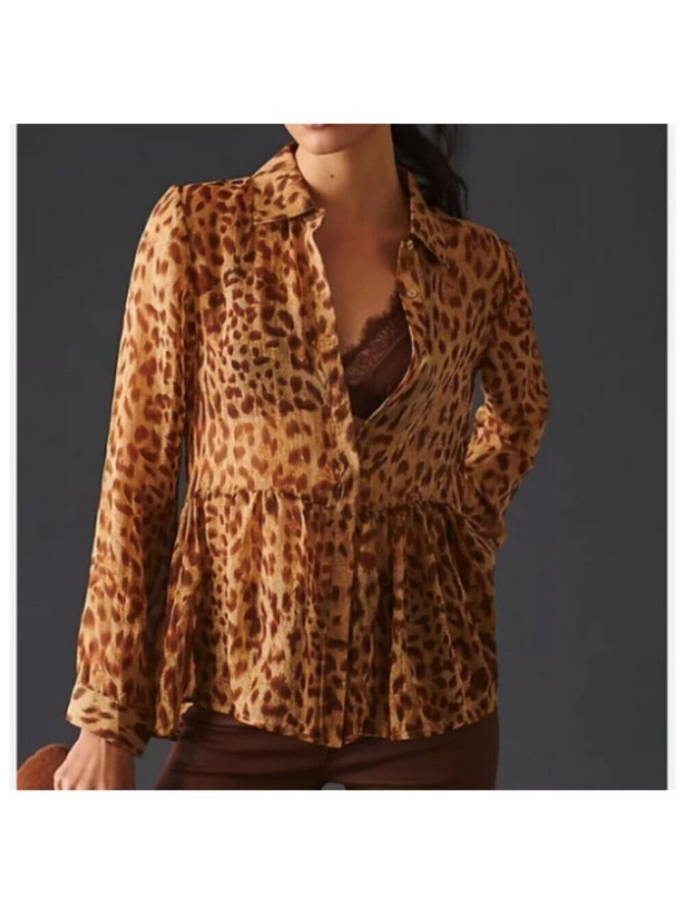 ✨✨AnthropologieBlue Tassel Silk leopard print sheer button down blouse NWT Sm